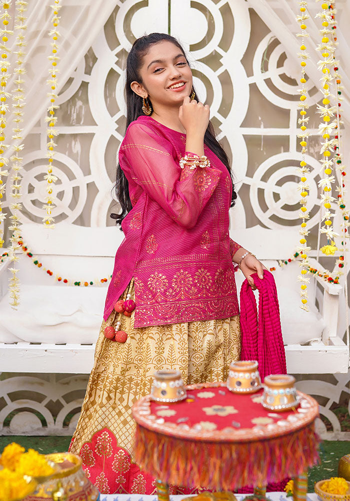 Zari Missouri Hand Adda Work 3 Pc Suit - Wear Ochre