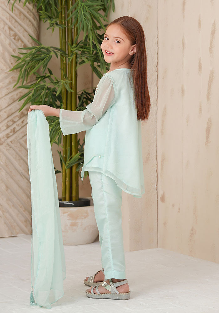Chiffon Hand Adda Work 3 Pc Suit - Wear Ochre
