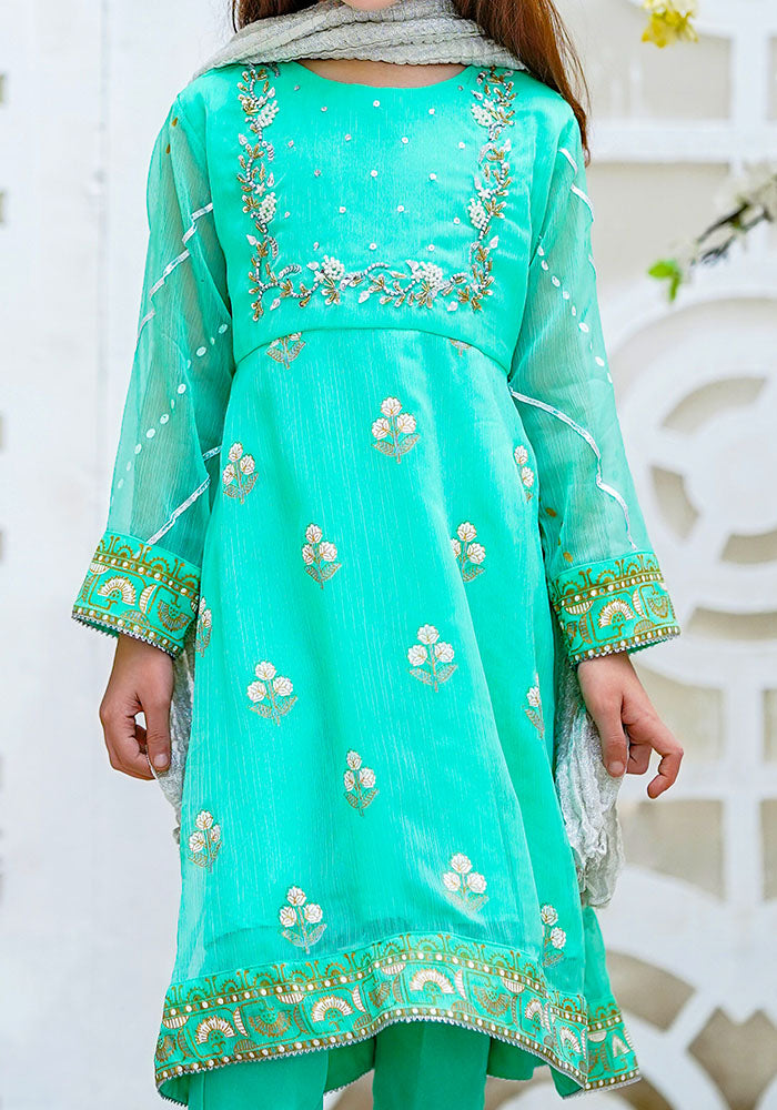 Chiffon Hand Adda Work 3 Pc Suit - Wear Ochre