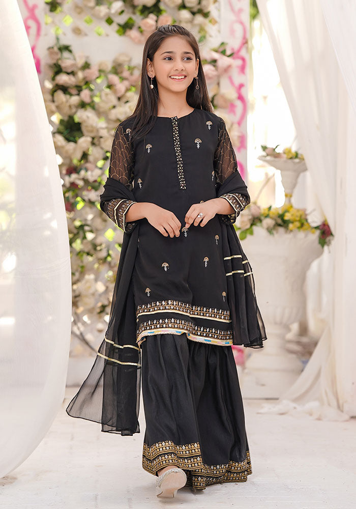 Chiffon Block Printed 3 Pc Suit - Wear Ochre