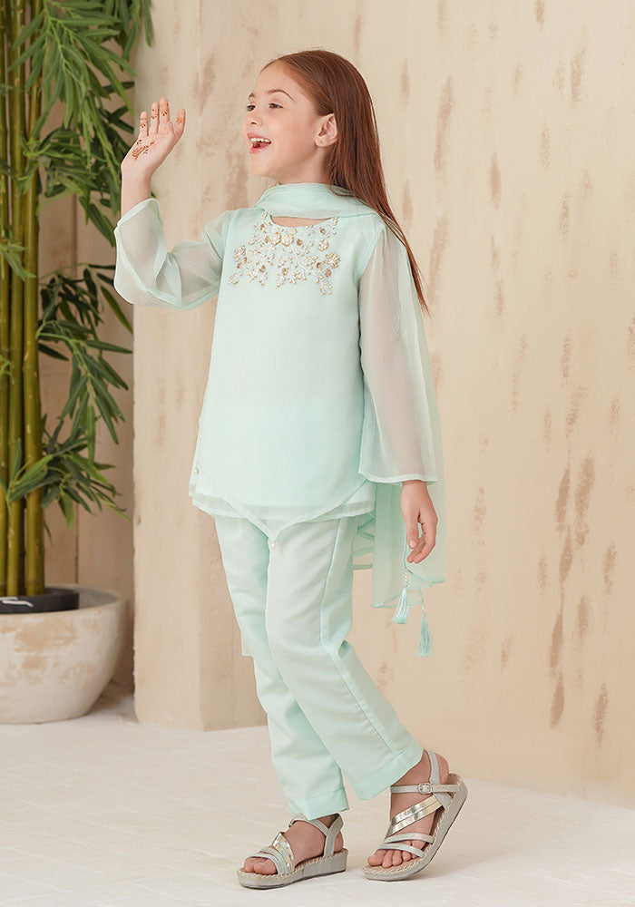 Chiffon Hand Adda Work 3 Pc Suit - Wear Ochre