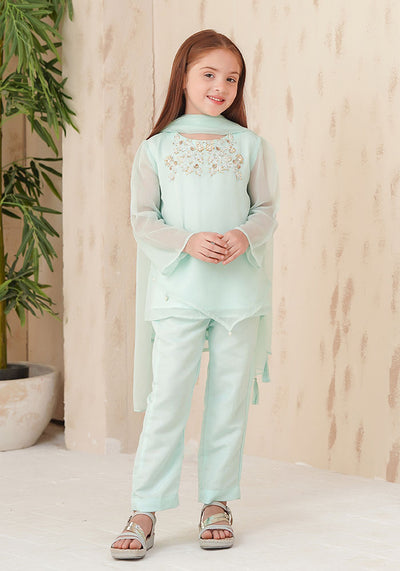 Chiffon Hand Adda Work 3 Pc Suit