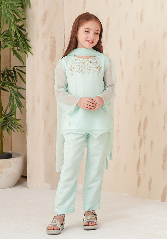 Chiffon Hand Adda Work 3 Pc Suit - Wear Ochre