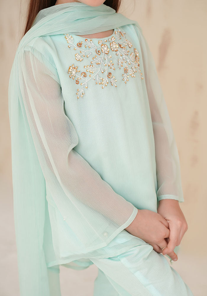 Chiffon Hand Adda Work 3 Pc Suit - Wear Ochre