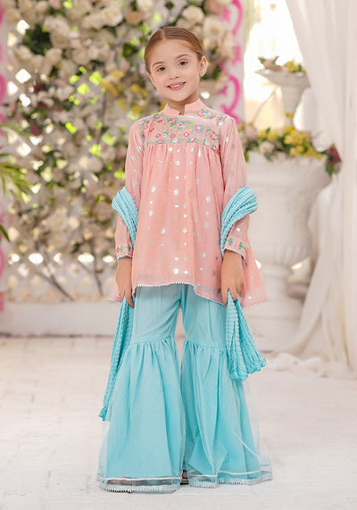 Paper Cotton Embroidered 3 Pc Suit