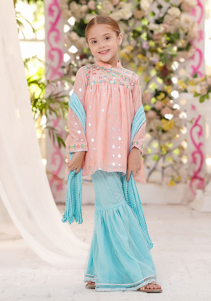 Paper Cotton Embroidered 3 Pc Suit - Wear Ochre