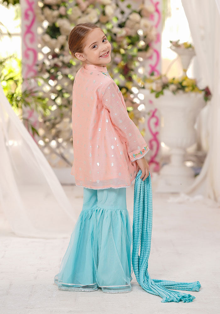Paper Cotton Embroidered 3 Pc Suit - Wear Ochre