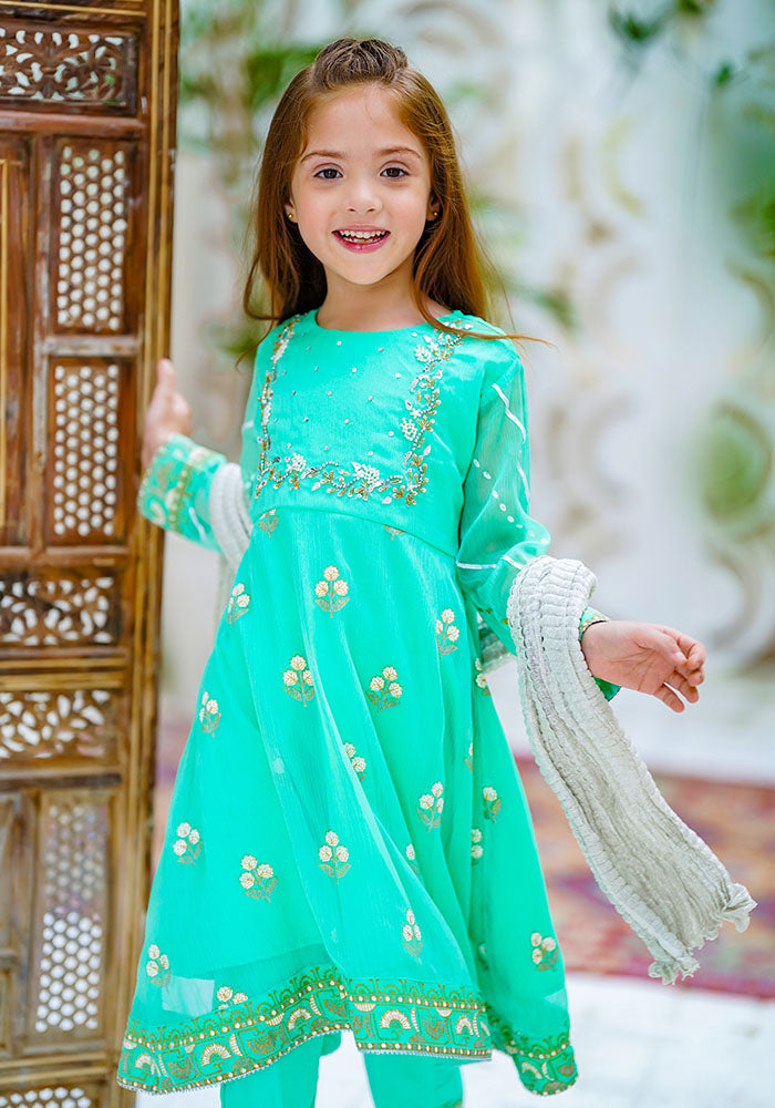 Chiffon Hand Adda Work 3 Pc Suit - Wear Ochre
