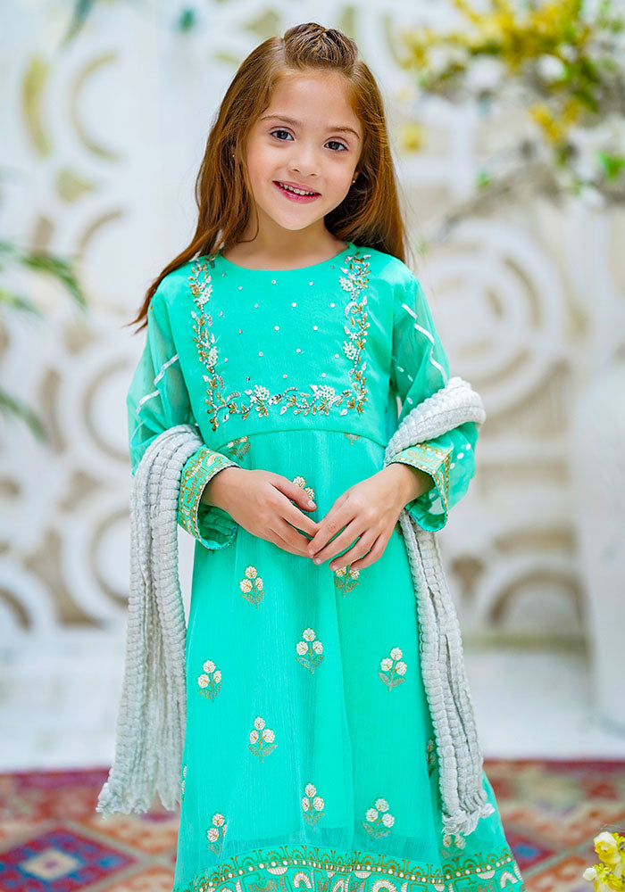 Chiffon Hand Adda Work 3 Pc Suit - Wear Ochre