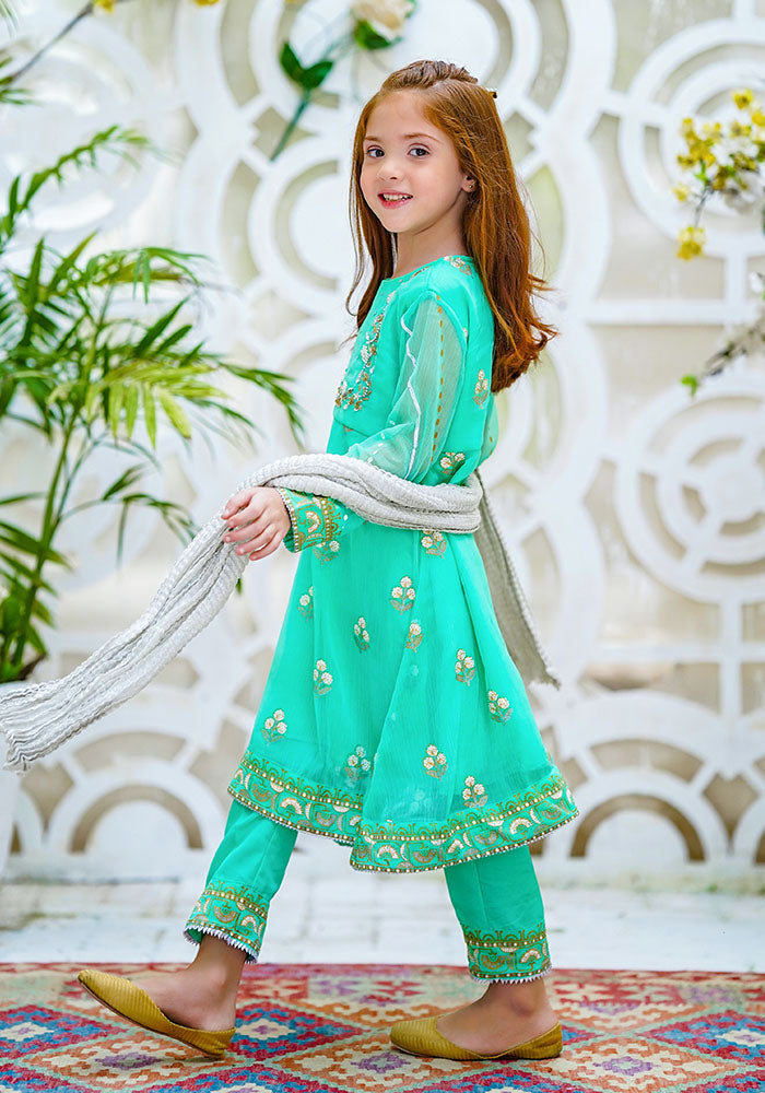 Chiffon Hand Adda Work 3 Pc Suit - Wear Ochre