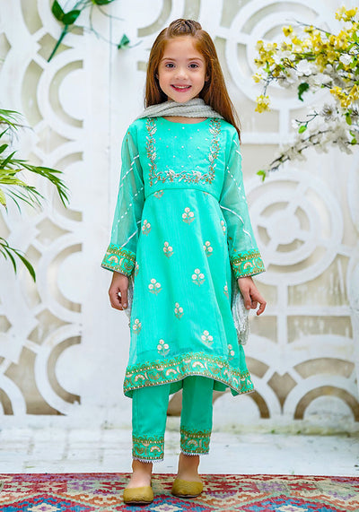 Chiffon Hand Adda Work 3 Pc Suit