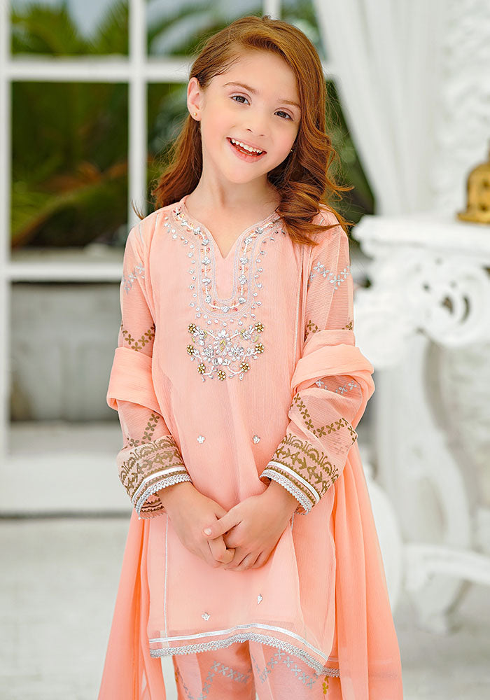 Chiffon Hand Adda Work 3 Pc Suit - Wear Ochre
