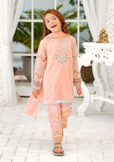 Chiffon Hand Adda Work 3 Pc Suit