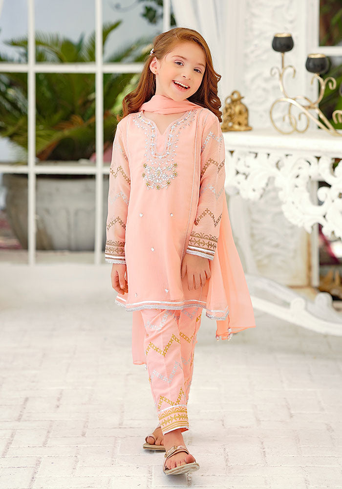 Chiffon Hand Adda Work 3 Pc Suit - Wear Ochre