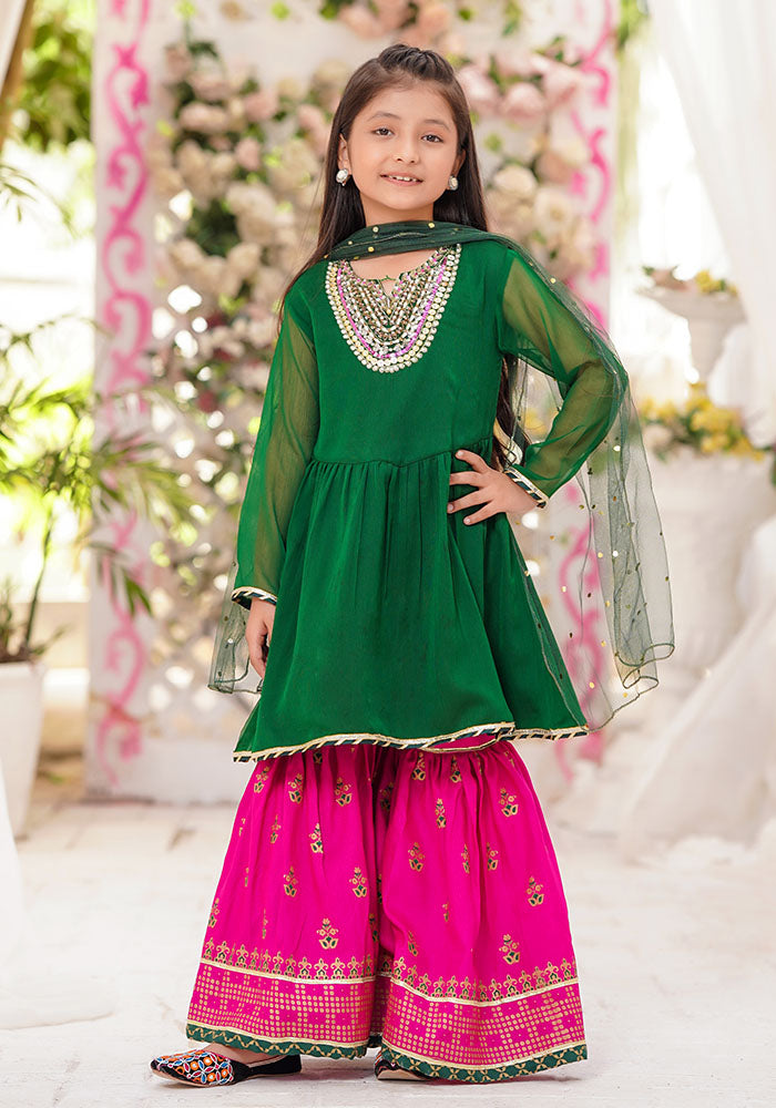 Chiffon Hand Adda Work 3 Pc Suit - Wear Ochre