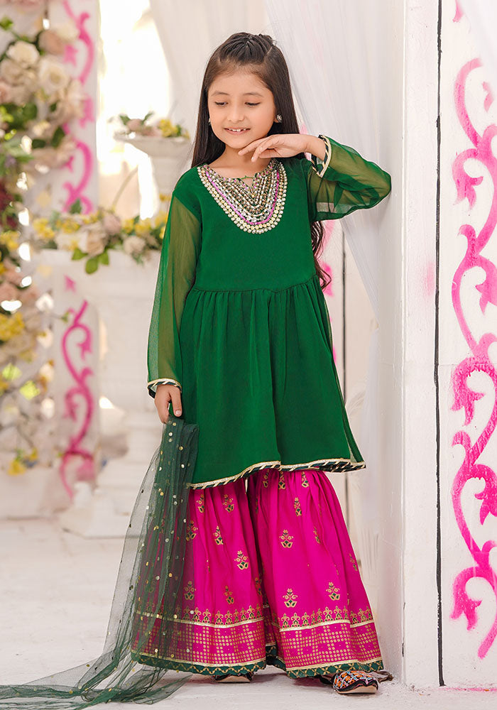 Chiffon Hand Adda Work 3 Pc Suit - Wear Ochre