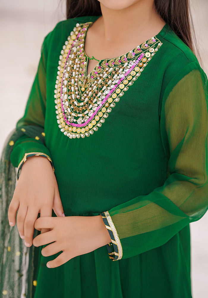 Chiffon Hand Adda Work 3 Pc Suit - Wear Ochre