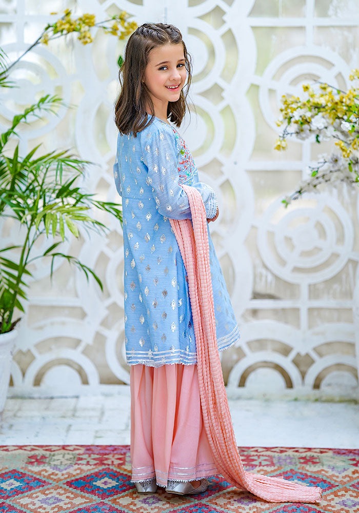 Paper Cotton Embroidered 3 Pc Suit - Wear Ochre