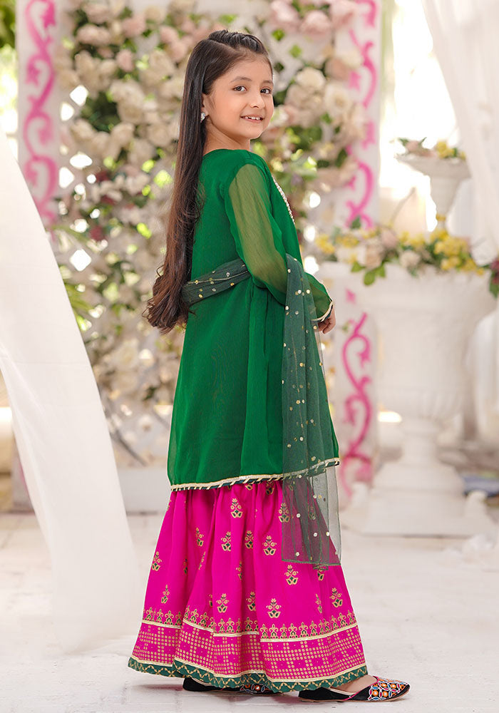 Chiffon Hand Adda Work 3 Pc Suit - Wear Ochre