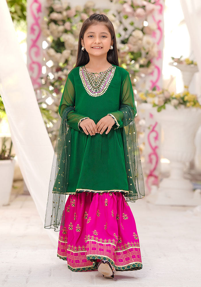 Chiffon Hand Adda Work 3 Pc Suit - Wear Ochre