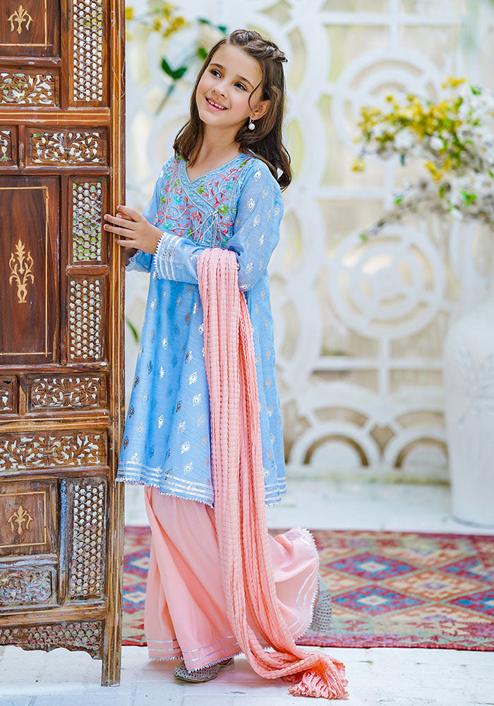 Paper Cotton Embroidered 3 Pc Suit - Wear Ochre
