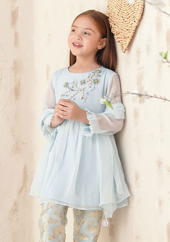 Chiffon Hand Adda Work 3 Pc Suit - Wear Ochre