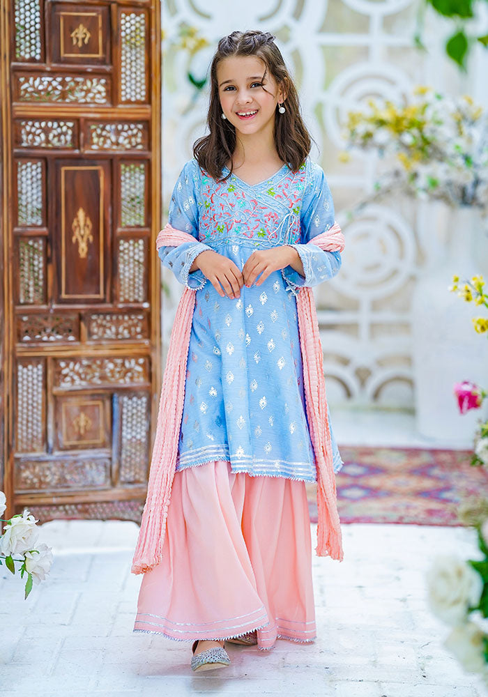 Paper Cotton Embroidered 3 Pc Suit - Wear Ochre