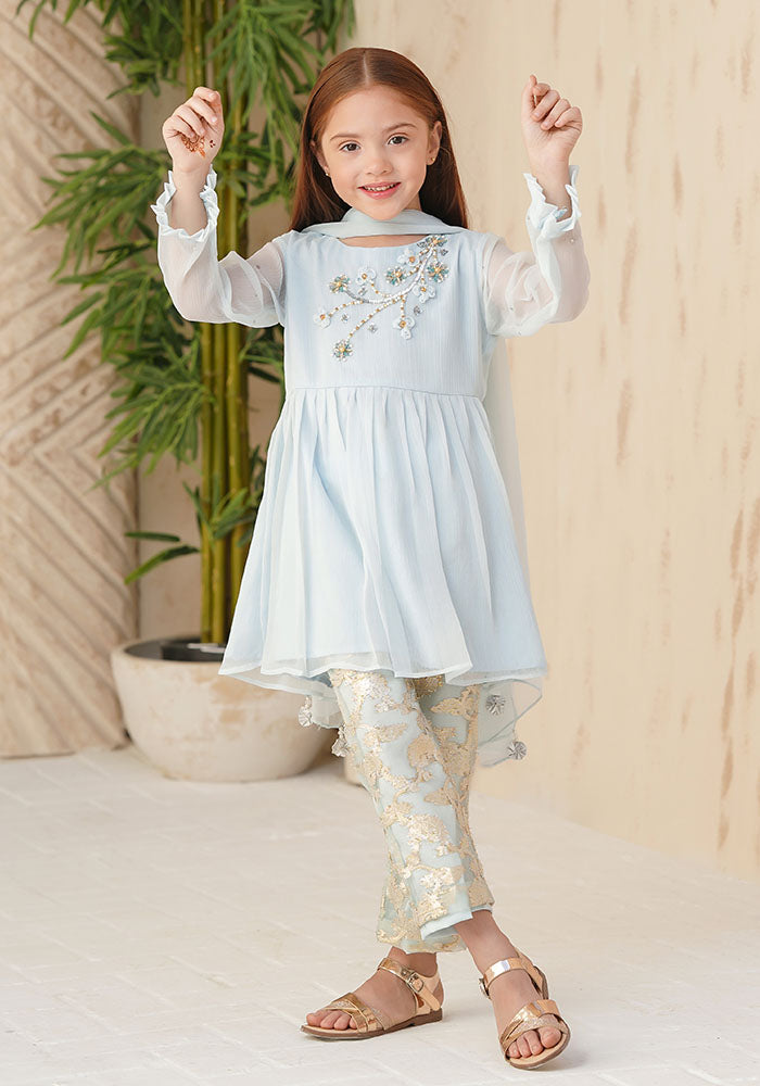 Chiffon Hand Adda Work 3 Pc Suit - Wear Ochre