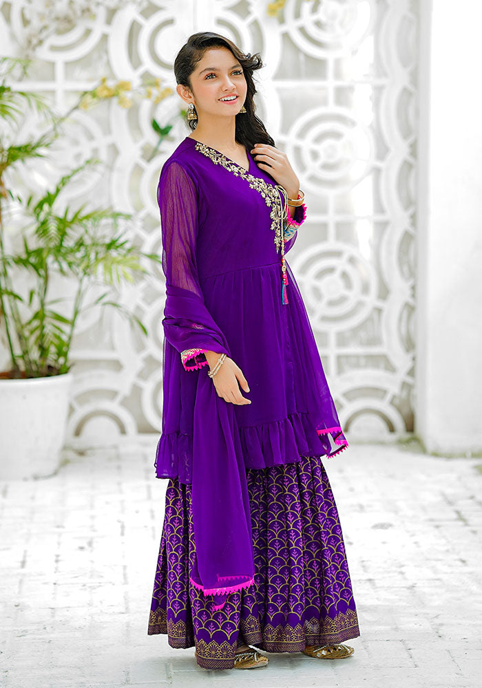 Chiffon Hand Adda Work 3 Pc Suit - Wear Ochre