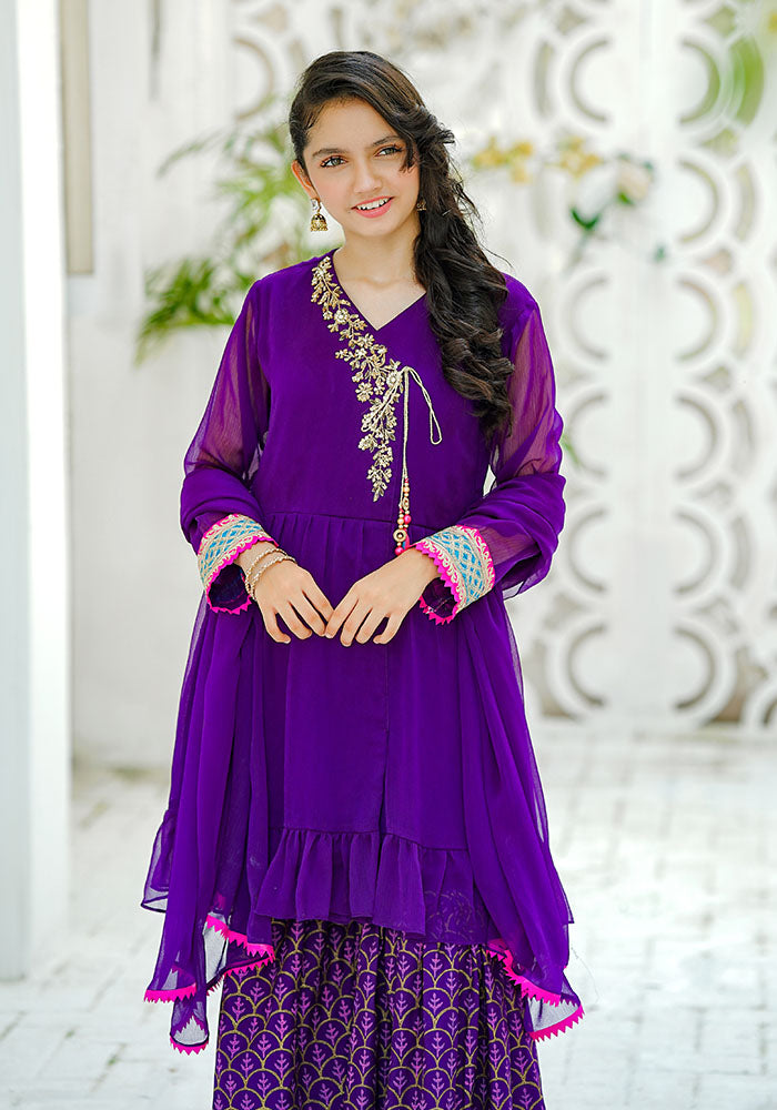 Chiffon Hand Adda Work 3 Pc Suit - Wear Ochre