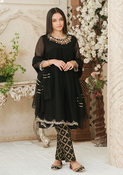 Chiffon Hand Adda Work 3 Pc Suit
