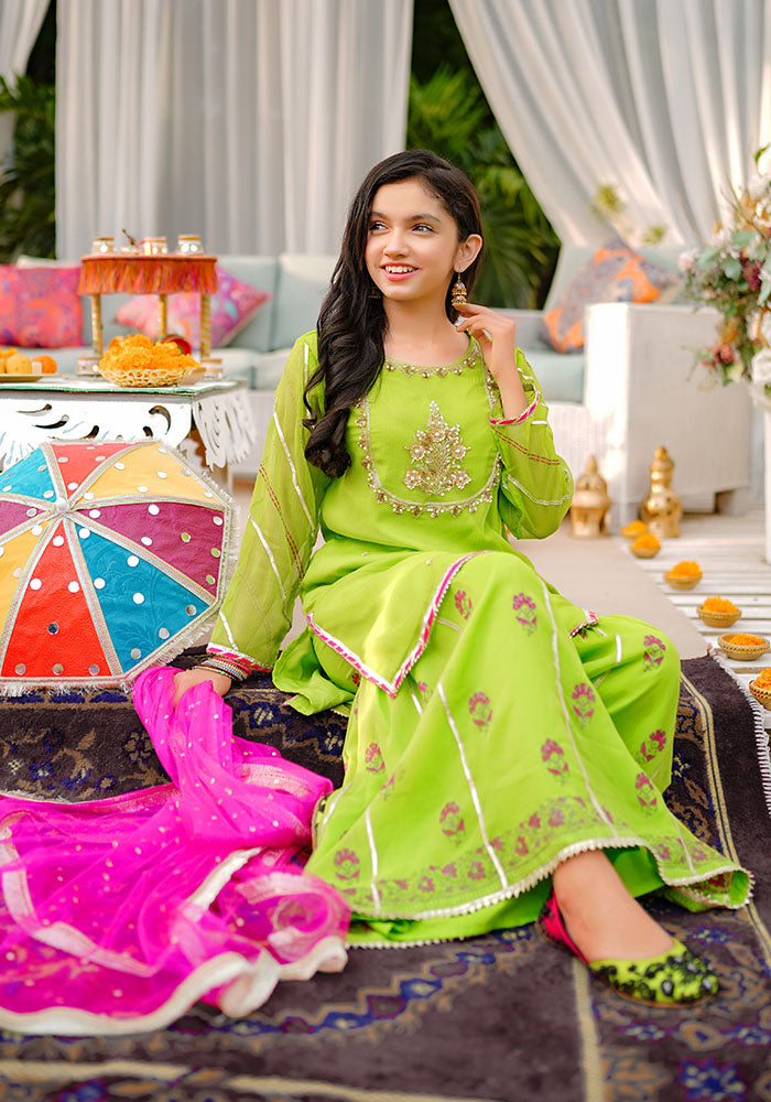 Chiffon Hand Adda Work 3 Pc Suit - Wear Ochre