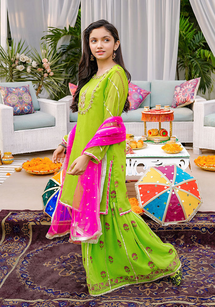 Chiffon Hand Adda Work 3 Pc Suit - Wear Ochre