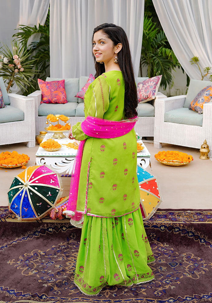 Chiffon Hand Adda Work 3 Pc Suit - Wear Ochre