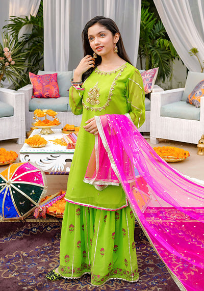 Chiffon Hand Adda Work 3 Pc Suit