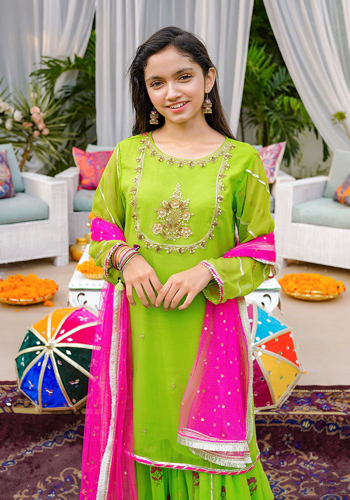 Chiffon Hand Adda Work 3 Pc Suit - Wear Ochre