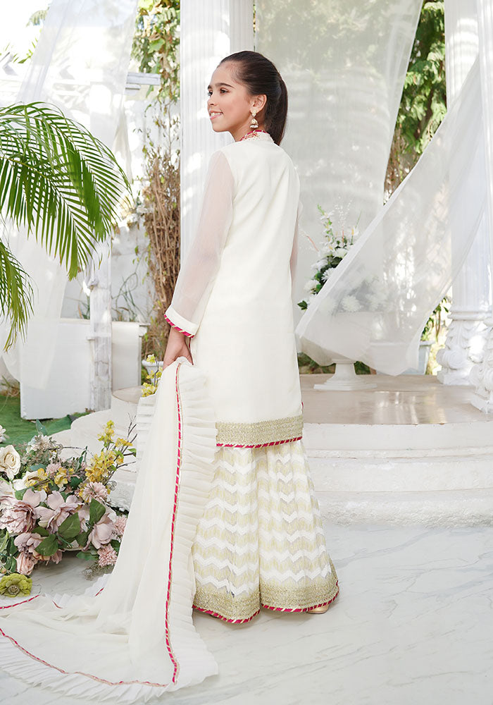 Chiffon Hand Adda Work 3 Pc Suit - Wear Ochre