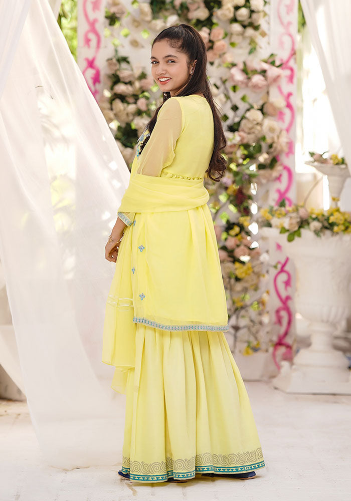 Chiffon Embroidered 3 Pc Suit - Wear Ochre