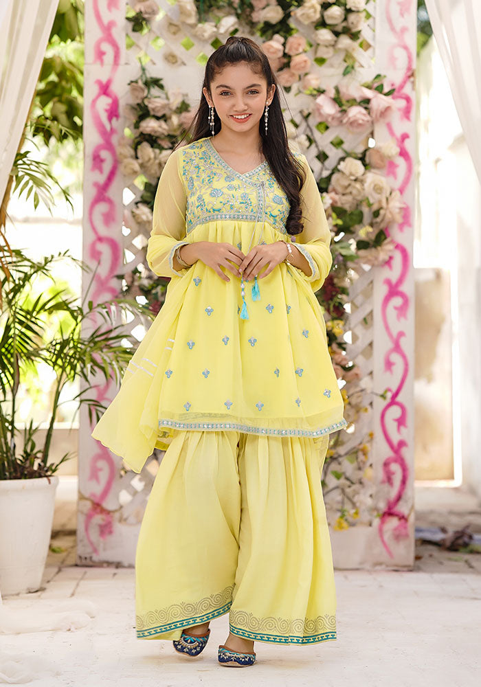 Chiffon Embroidered 3 Pc Suit - Wear Ochre