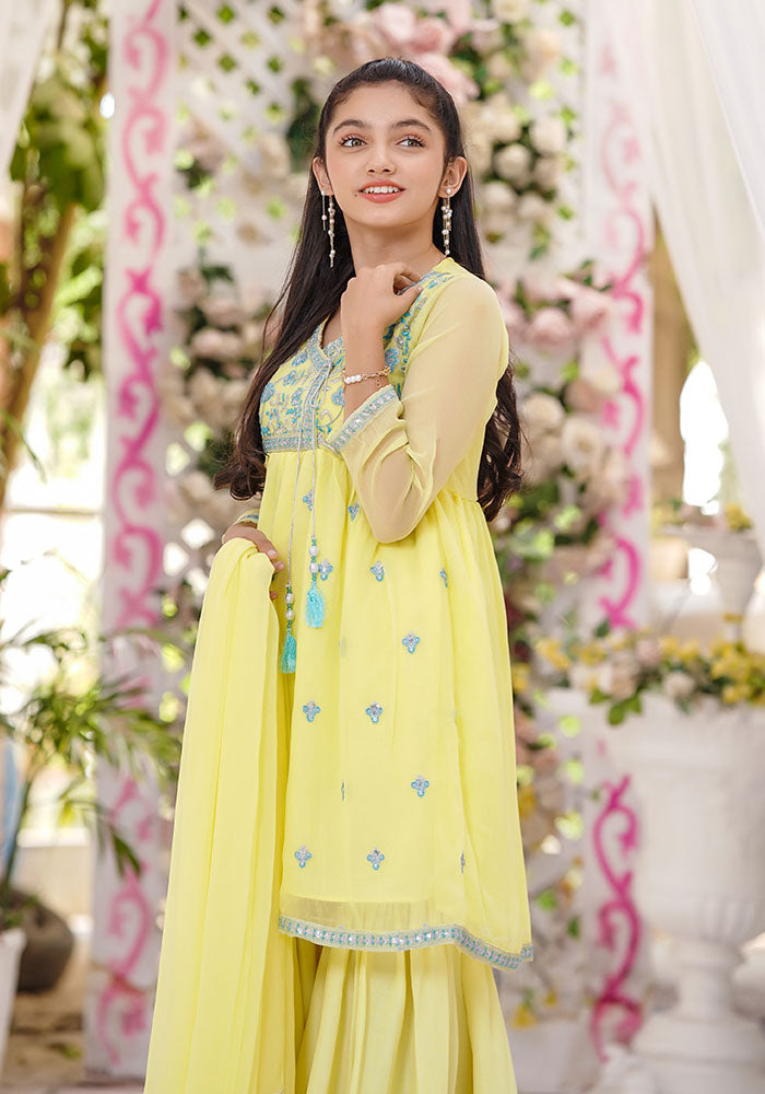Chiffon Embroidered 3 Pc Suit - Wear Ochre