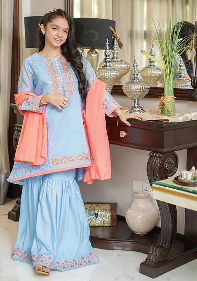Paper Cotton Embroidered 3 Pc Suit