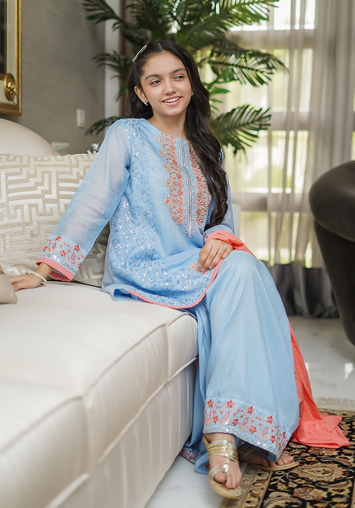 Paper Cotton Embroidered 3 Pc Suit - Wear Ochre