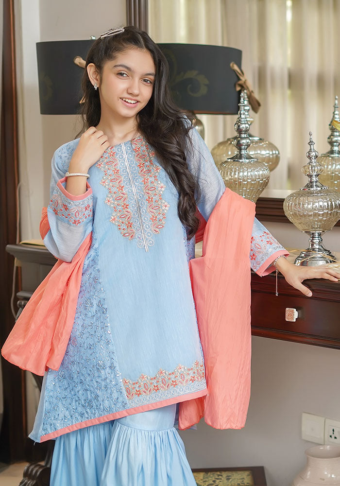 Paper Cotton Embroidered 3 Pc Suit - Wear Ochre