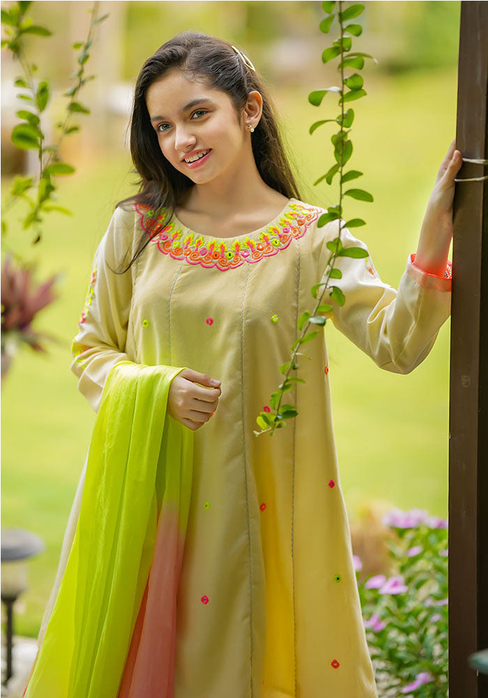 Karandi Cotton Embroidered 3 Pc Suit - Wear Ochre