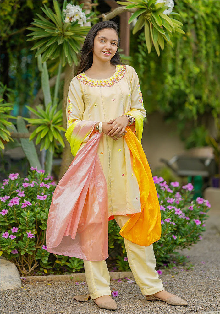 Karandi Cotton Embroidered 3 Pc Suit - Wear Ochre