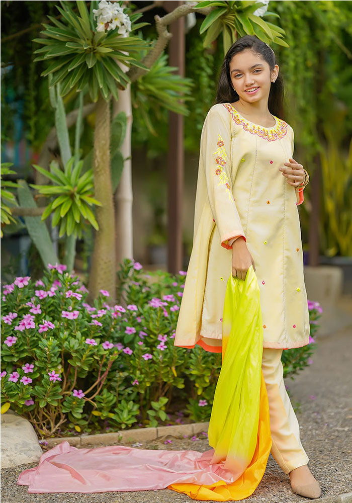 Karandi Cotton Embroidered 3 Pc Suit - Wear Ochre