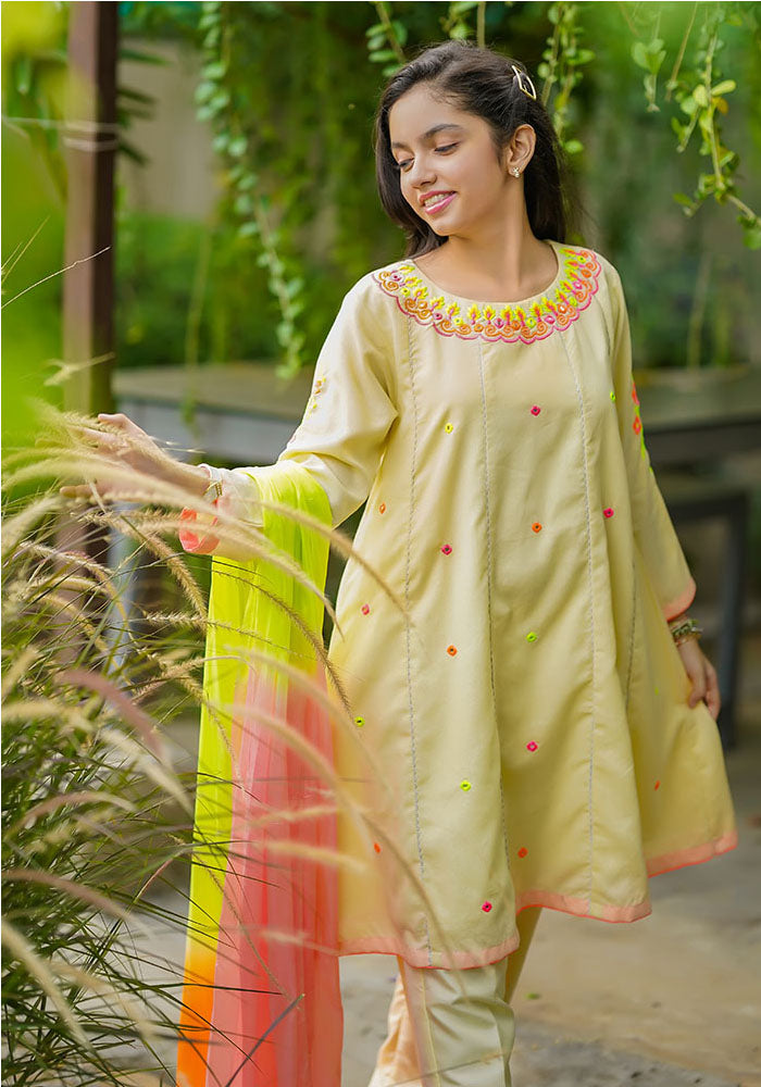 Karandi Cotton Embroidered 3 Pc Suit - Wear Ochre