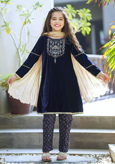 Velvet Hand Work 3 Pc Suit