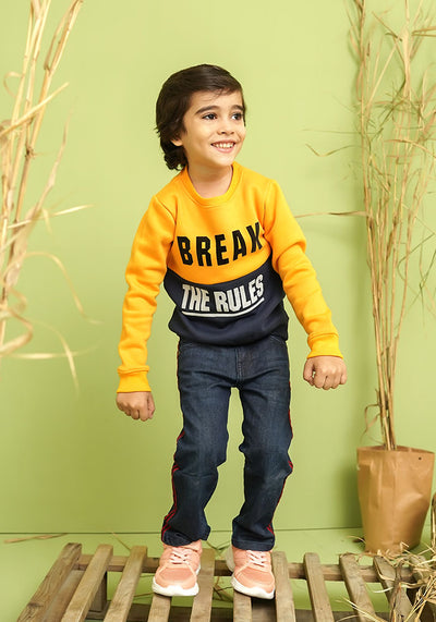 Fleece Printed Sweatshirt