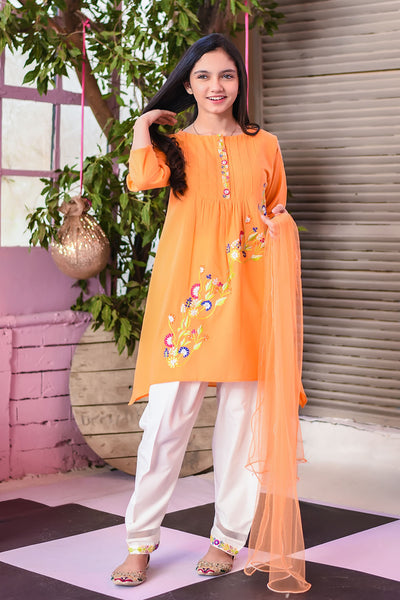 Cotton Embroidered 3 Pc Suit